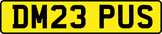 DM23PUS