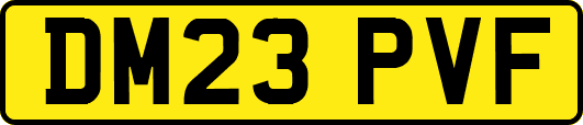 DM23PVF