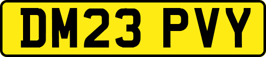 DM23PVY