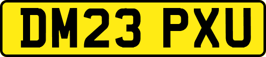 DM23PXU