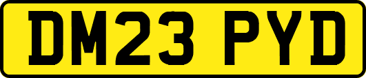 DM23PYD
