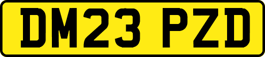 DM23PZD