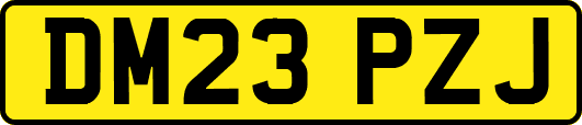 DM23PZJ