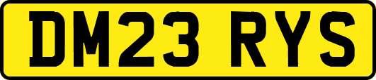 DM23RYS