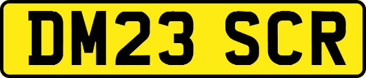 DM23SCR
