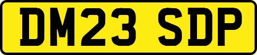 DM23SDP