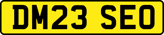 DM23SEO