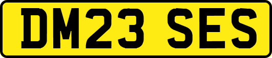DM23SES