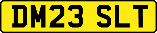 DM23SLT