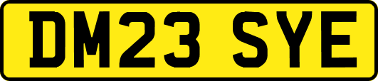 DM23SYE