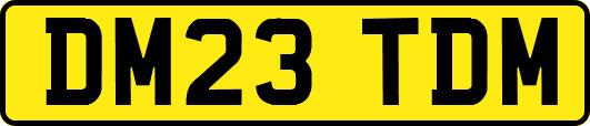 DM23TDM