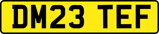 DM23TEF
