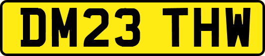 DM23THW