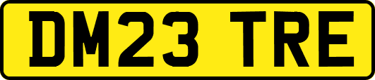 DM23TRE
