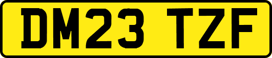 DM23TZF