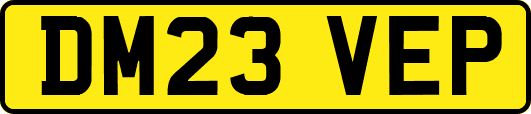 DM23VEP