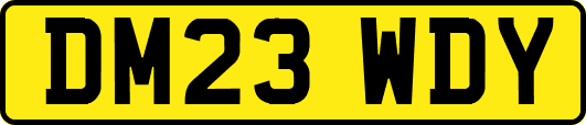 DM23WDY
