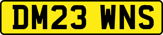 DM23WNS