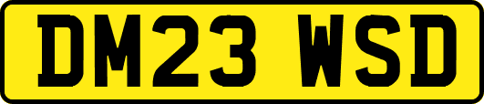 DM23WSD