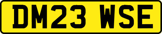 DM23WSE