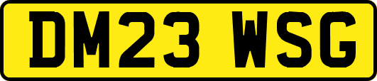 DM23WSG