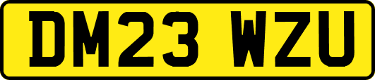DM23WZU