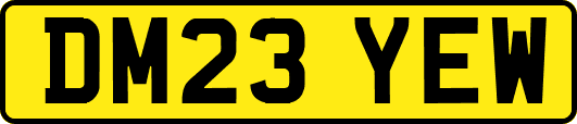 DM23YEW