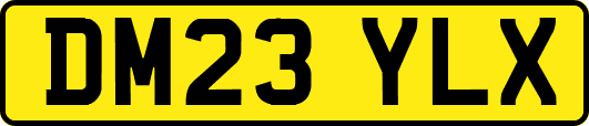 DM23YLX