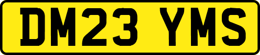 DM23YMS