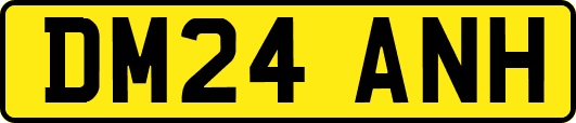DM24ANH
