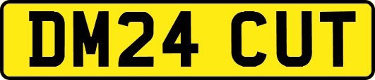 DM24CUT