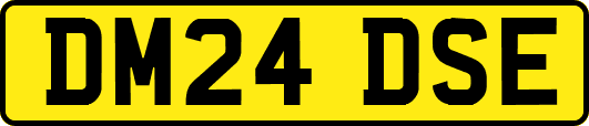 DM24DSE