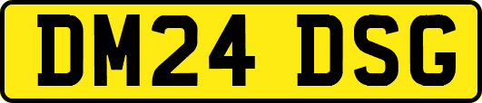 DM24DSG