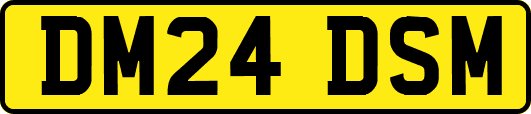 DM24DSM