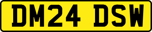 DM24DSW