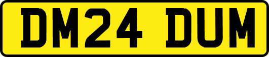 DM24DUM