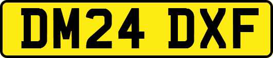 DM24DXF