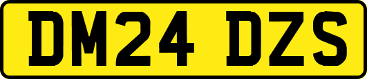 DM24DZS