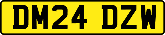 DM24DZW