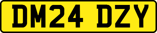DM24DZY