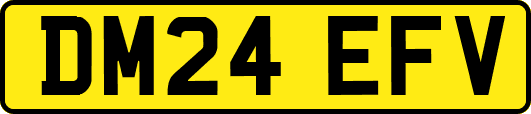 DM24EFV