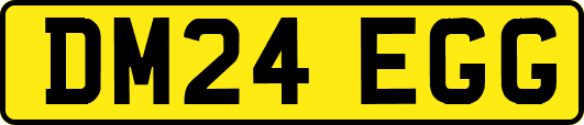 DM24EGG