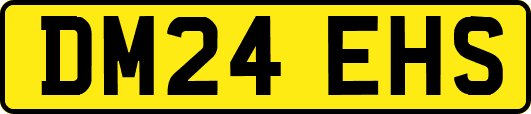 DM24EHS
