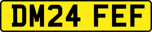 DM24FEF