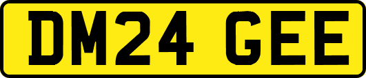 DM24GEE