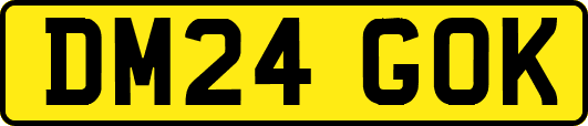 DM24GOK