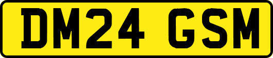 DM24GSM