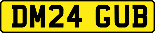 DM24GUB