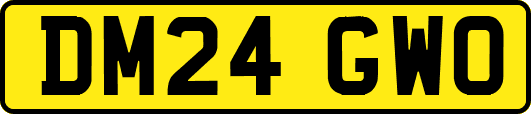 DM24GWO