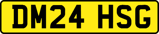 DM24HSG